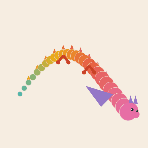 RAINBOW DRAGON