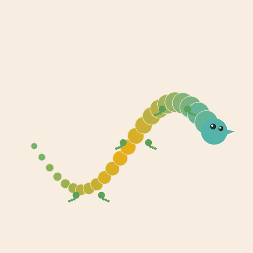 GECKO